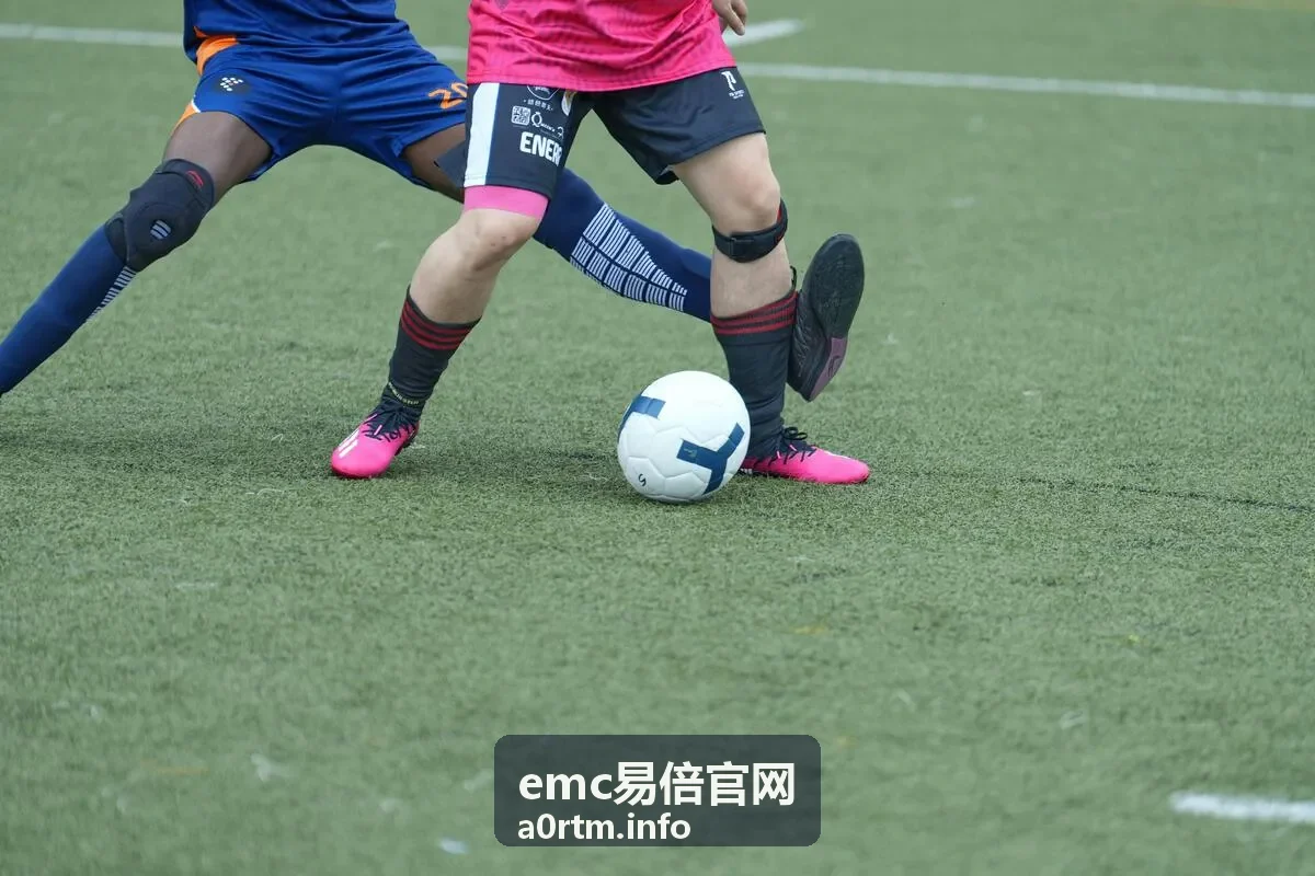 emc易倍官网平台资讯中心分类导航